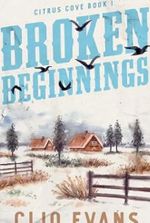 Broken Beginnings: A High Heat Small Town Romance Suspense (Citrus Cove Book 1)