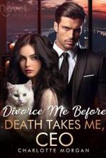 Divorce Me Before Death Takes Me, CEO